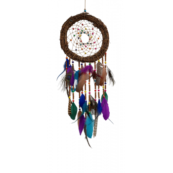 DC-66 Bird's nest Dreamcatchers 10 inch