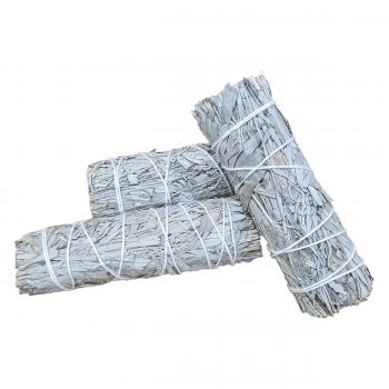 KINS-13 California Blue Sage Bundle 4 Inch