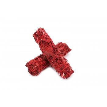 KINS-25A White Sage Dragon Blood 4 inch