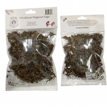 KINS-26 Himalayan Mugwort sage