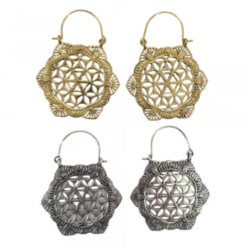 NE-6 Brass FOL Ear Rings