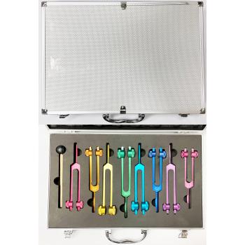 CTFS-8 Metal Tuning Fork set of 8 with case 