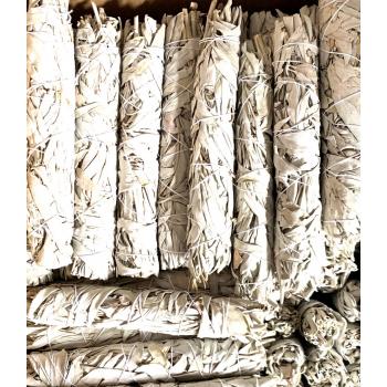 KINS-21 California White Sage Bundles 8 Inch