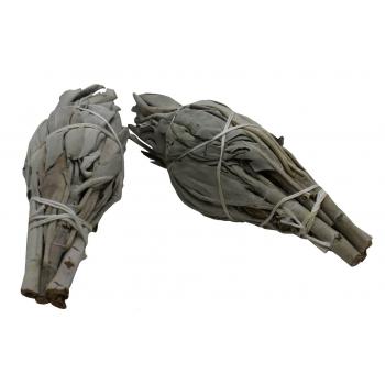 KINS-22 California White Sage Mini